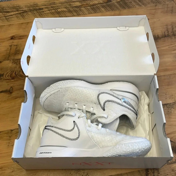 Nike Other - Lebron Air Zoom 10.5